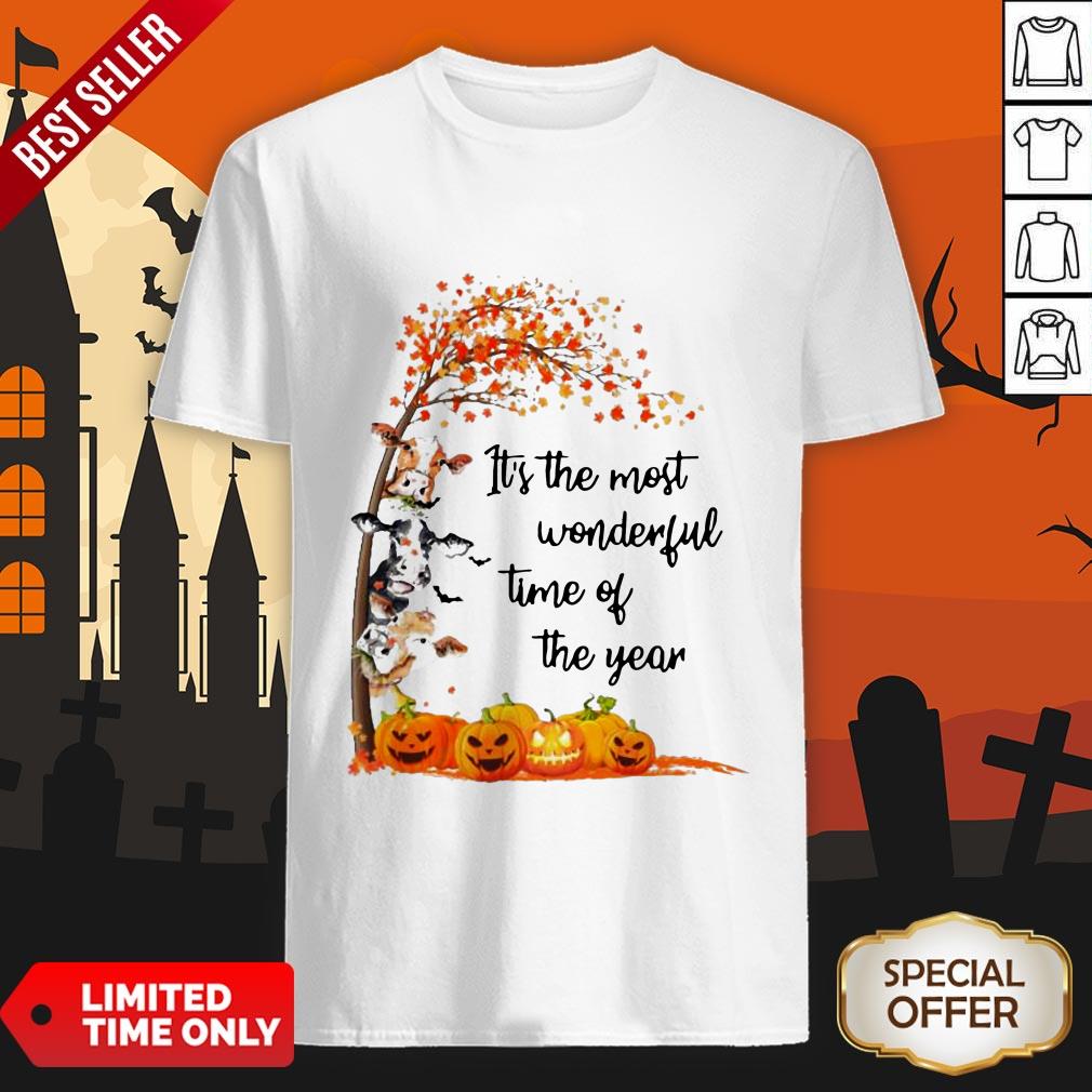 Halloween Cows Pumpkin It’s The Most Wonderful Time Of The Year Shirt Halloween Cows Pumpkin It’s The Most Wonderful Time Of The Year Shirt