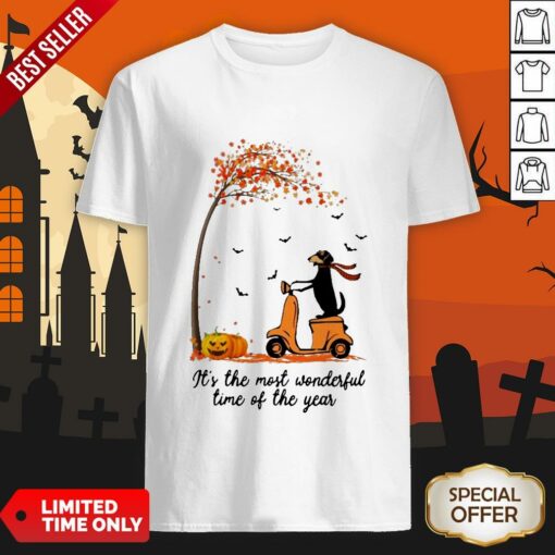 Halloween Dachshund Pumpkin It’s The Most Wonderful Time Of The Year Shirt