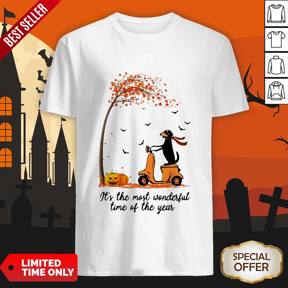 Halloween Dachshund Pumpkin It’s The Most Wonderful Time Of The Year Shirt Halloween Dachshund Pumpkin It’s The Most Wonderful Time Of The Year Shirt