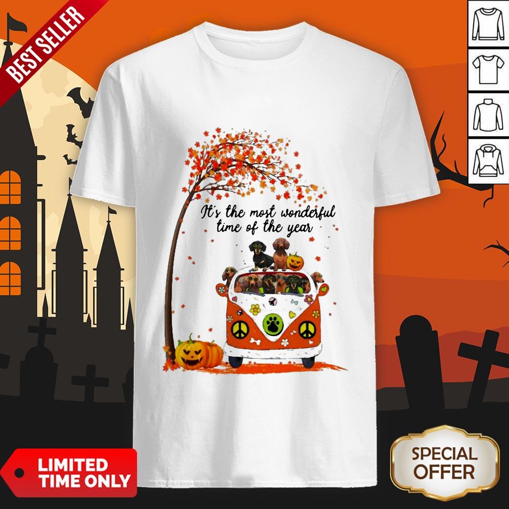 Halloween Dachshunds Pumpkin It’s The Most Wonderful Time Of The Year Shirt Halloween Dachshunds Pumpkin It’s The Most Wonderful Time Of The Year Shirt