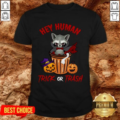 Hey Human Trick Or Trash Racoon Funny Trash Panda Candy Pumpkin Halloween Street Animal Shirt