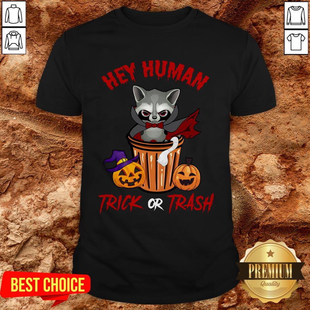 Hey Human Trick Or Trash Racoon Funny Trash Panda Candy Pumpkin Halloween Street Animal Shirt Hey Human Trick Or Trash Racoon Funny Trash Panda Candy Pumpkin Halloween Street Animal Shirt
