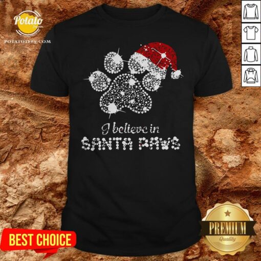 I Believe In Santa Paws Merry Christmas Shirt