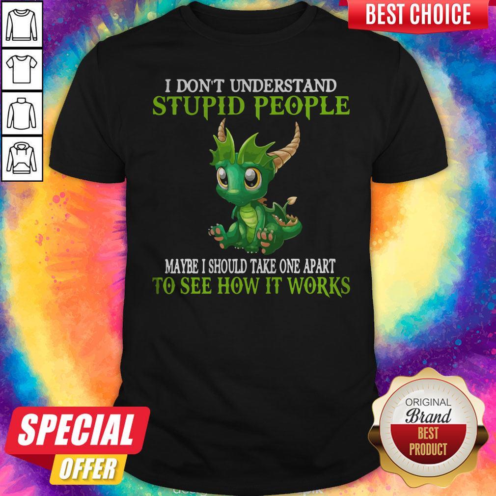 I Don’t Understand Stupid People Maybe I Should Take One Apart To See How It Works Dragon Shirt I Don’t Understand Stupid People Maybe I Should Take One Apart To See How It Works Dragon Shirt