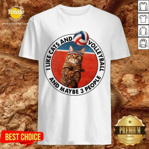 I Like Cats And Volleyball And Maybe 3 People Shirt