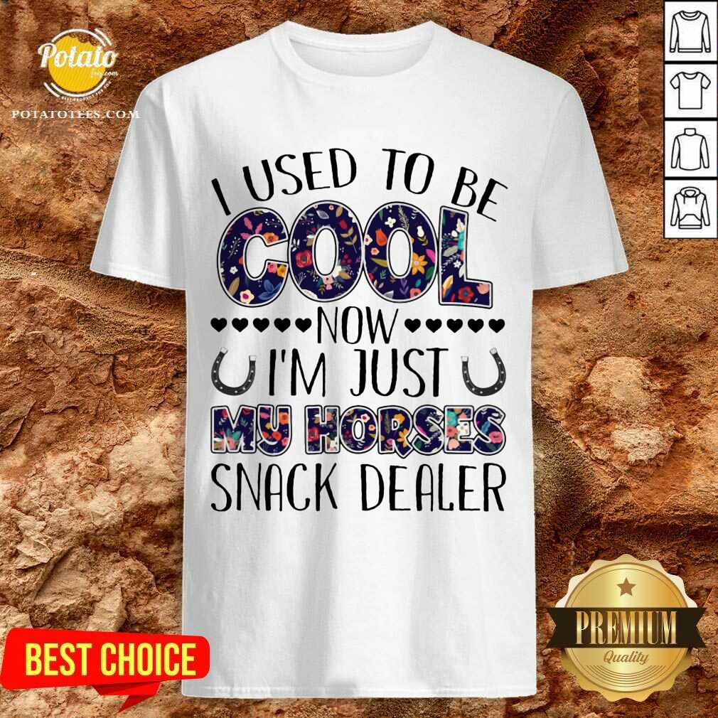 I Used To Be Cool I'm Just My Horse Snack Dealer Shirt I Used To Be Cool I'm Just My Horse Snack Dealer Shirt