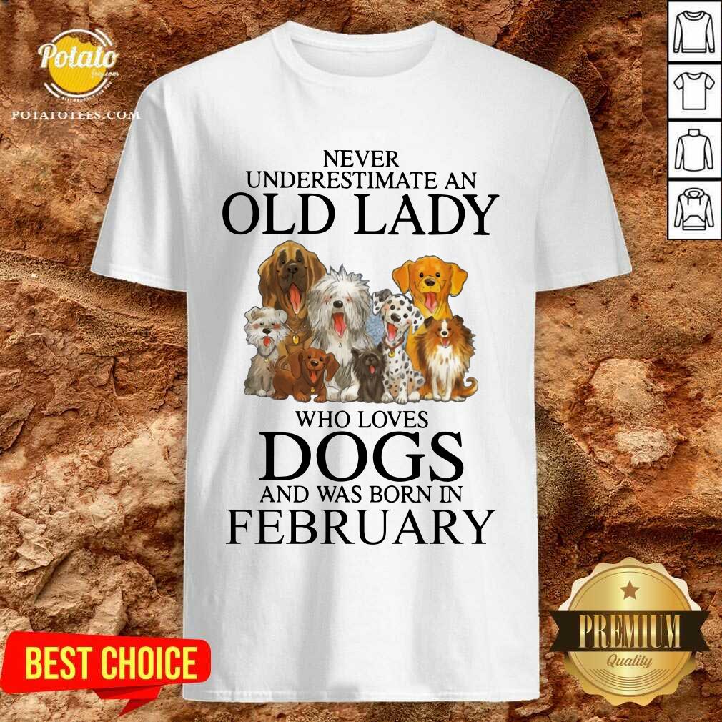 Never Underestimate A Feb Lady Who Loves Dogs Shirt Never Underestimate A Feb Lady Who Loves Dogs Shirt