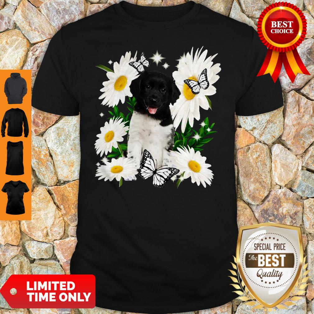 Official Stabyhoun Daisy Flower Classic Shirt Official Stabyhoun Daisy Flower Classic Shirt