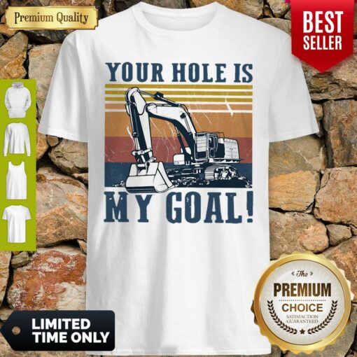 Premium Your Hole Is My Goal Vintage Shirt