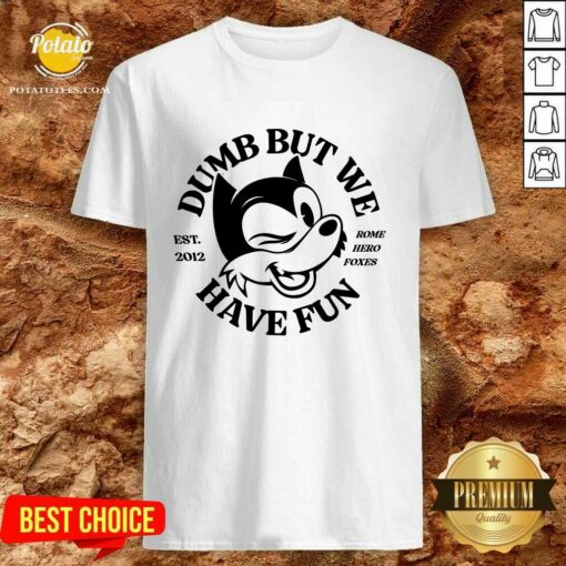 Rome Hero Foxes Dumb But We Have Fun T-shirt