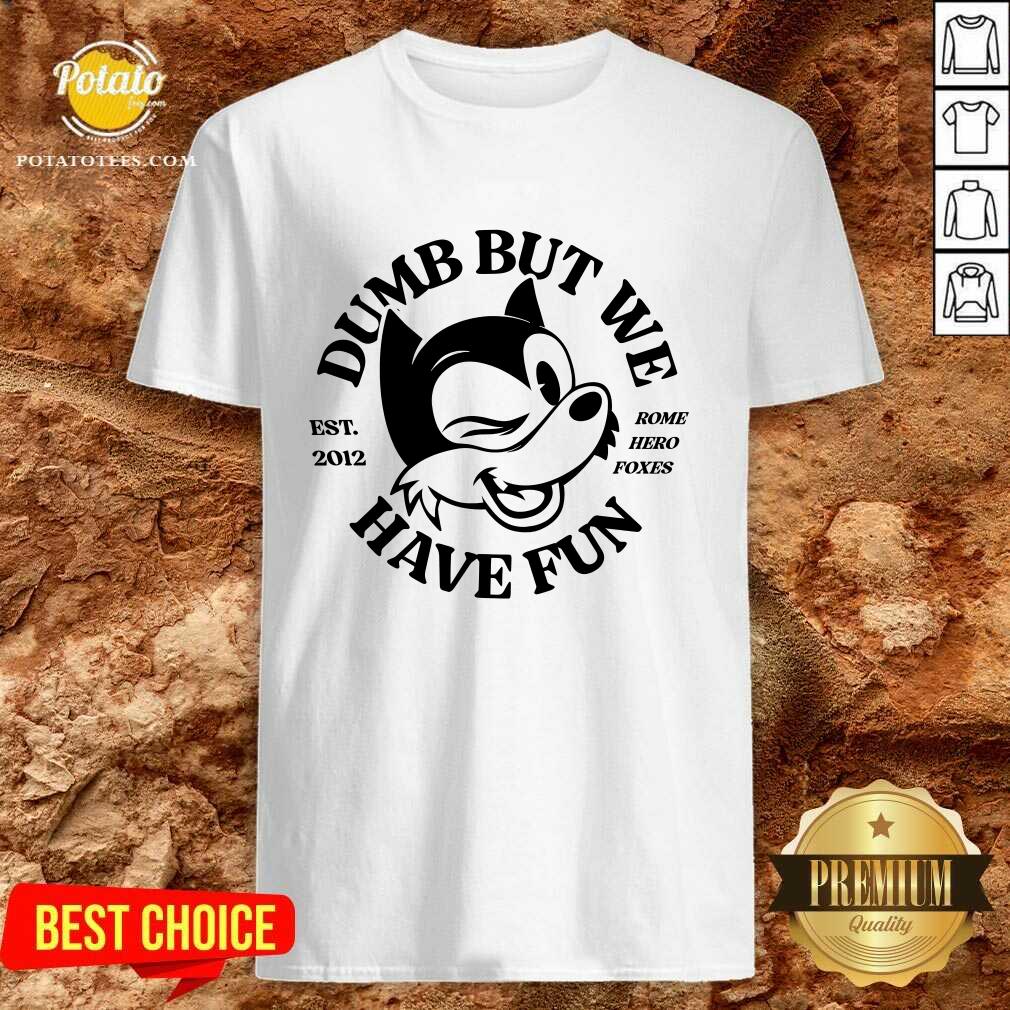 Rome Hero Foxes Dumb But We Have Fun T-shirt Rome Hero Foxes Dumb But We Have Fun T-shirt
