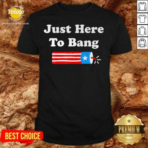 4th Of July 2021 Just Here To Bang Us 2021 Shirt