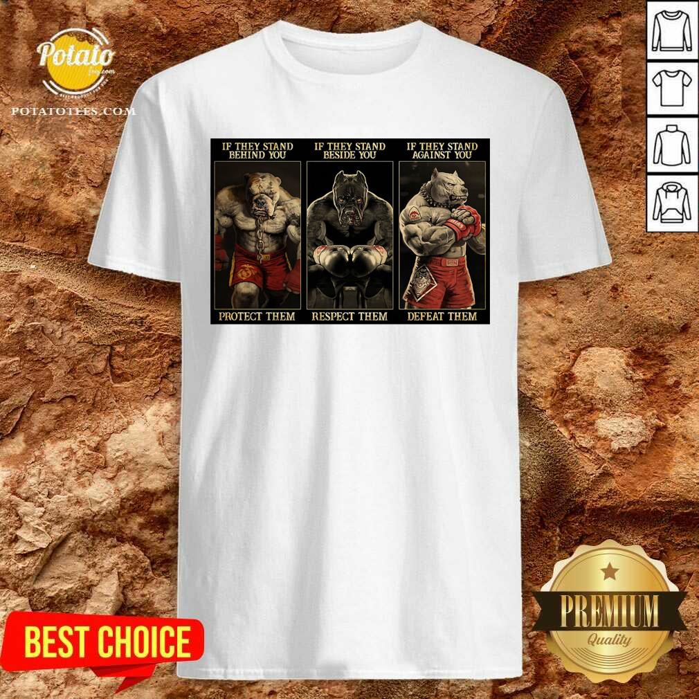 Awesome Pitbull Boxing Protect Respect Defeat If They Stand Behind You Shirt Awesome Pitbull Boxing Protect Respect Defeat If They Stand Behind You Shirt