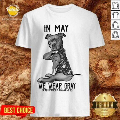 Dog In May We Wear Gray Shirt
