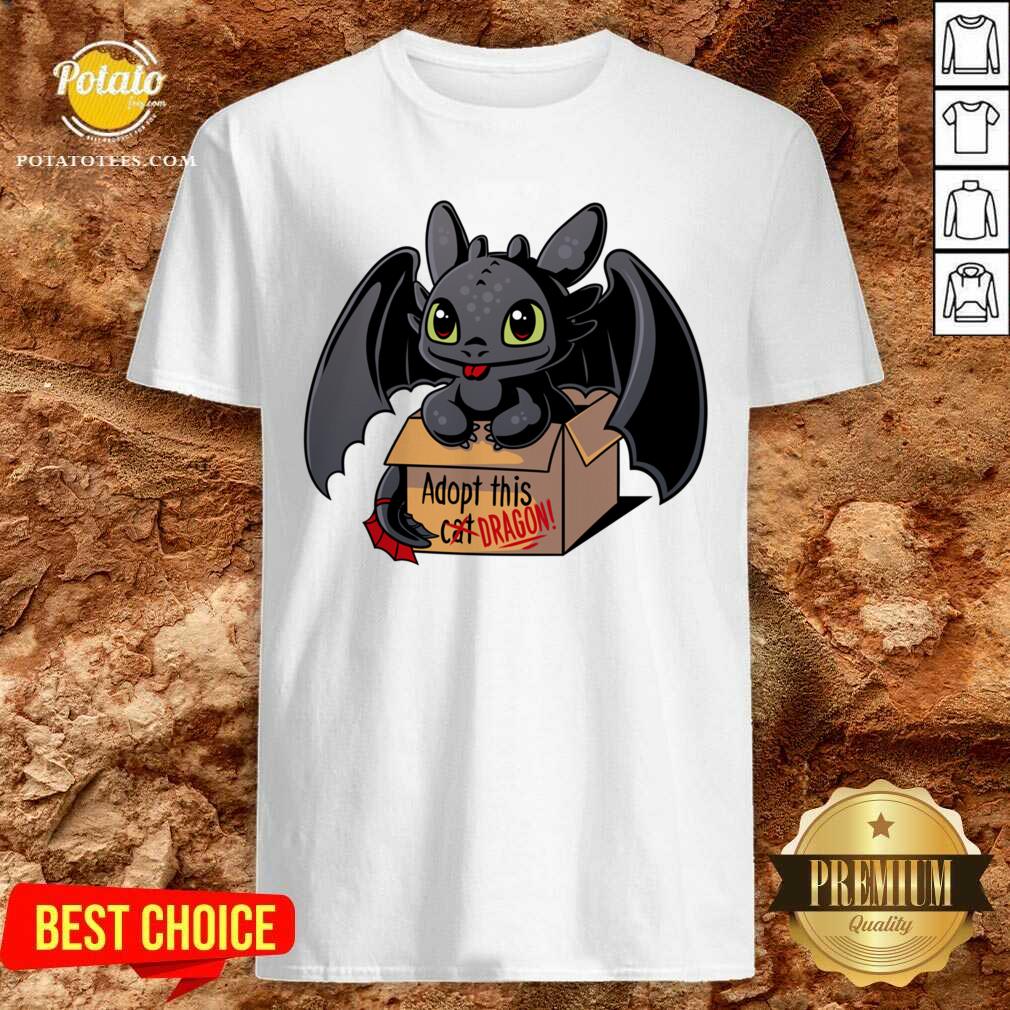 Funny Adopt This Dragon Shirt Funny Adopt This Dragon Shirt