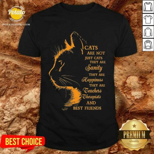 Good Cats Are Not Just Cats They Are Sanity They Are Happiness They Are Teachers Therapists And Best Friends Shirt