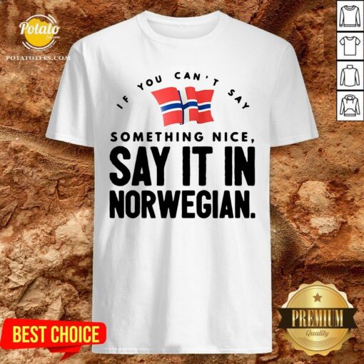 Good If You Can’t Say Something Nice Say It In Norwegian Shirt