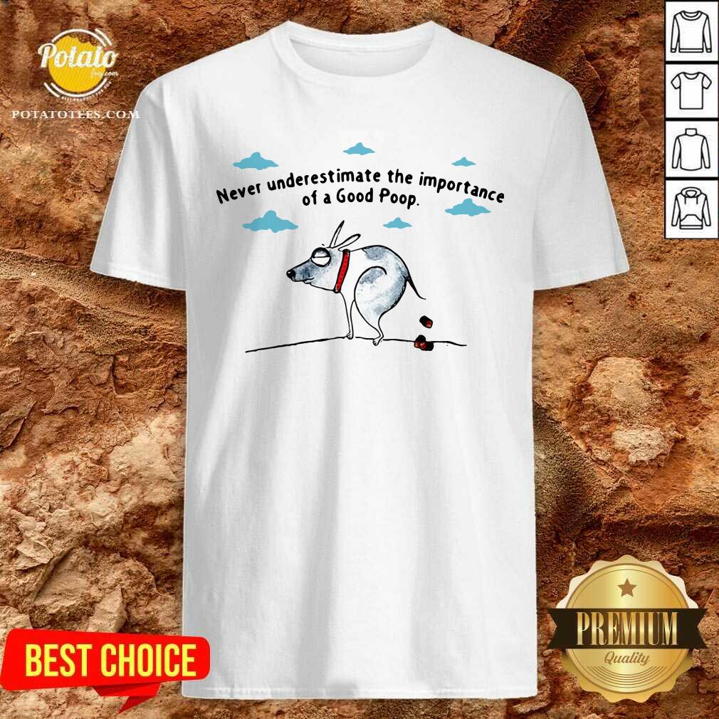 Good Never Underestimate The Importance Of A Good Poop Shirt Good Never Underestimate The Importance Of A Good Poop Shirt