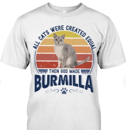 All Cats Were Created Equal Then God Made Burmilla Cute Cat Vintage Shirt All Cats Were Created Equal Then God Made Burmilla Cute Cat Vintage Shirt