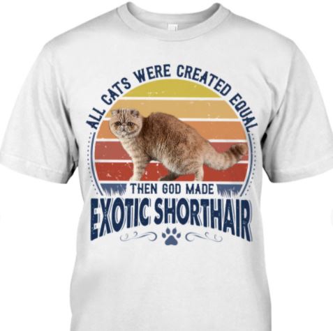 All Cats Were Created Equal Then God Made Exotic Shorthair Cute Cat Vintage Shirt All Cats Were Created Equal Then God Made Exotic Shorthair Cute Cat Vintage Shirt
