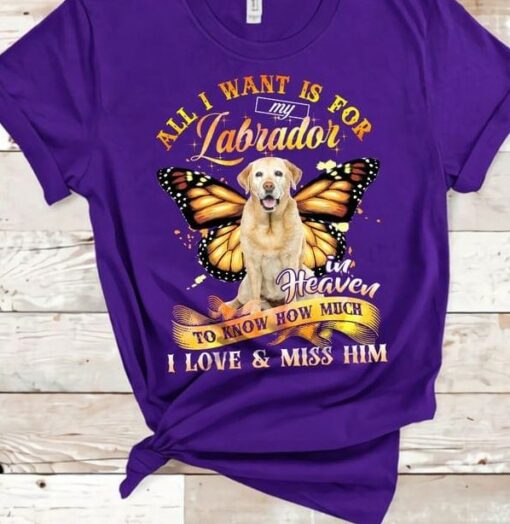 All I Want Is For My Labrador In Heaven To Know How Much I Love &amp  Miss Him Dog Butterfly Shirt