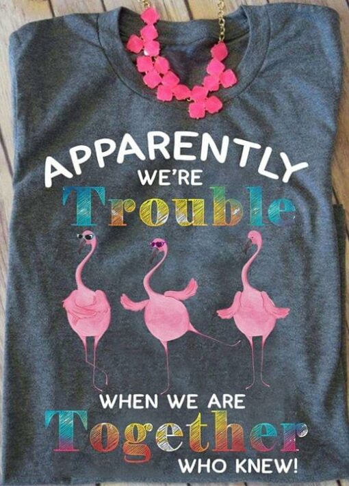 Apparebtly We’re Trouble When We Are Together Shirt
