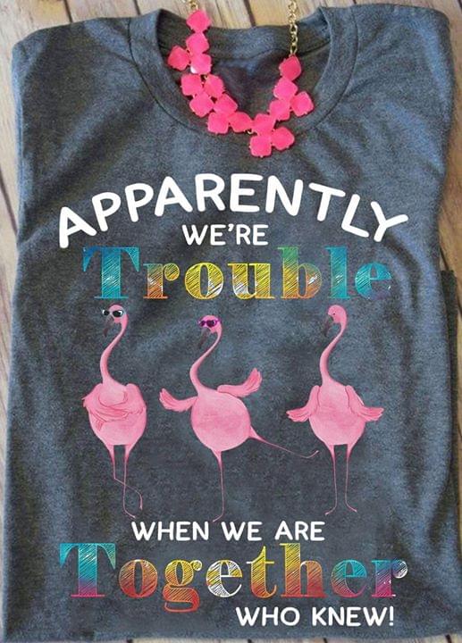 Apparebtly We're Trouble When We Are Together Shirt Apparebtly We're Trouble When We Are Together Shirt