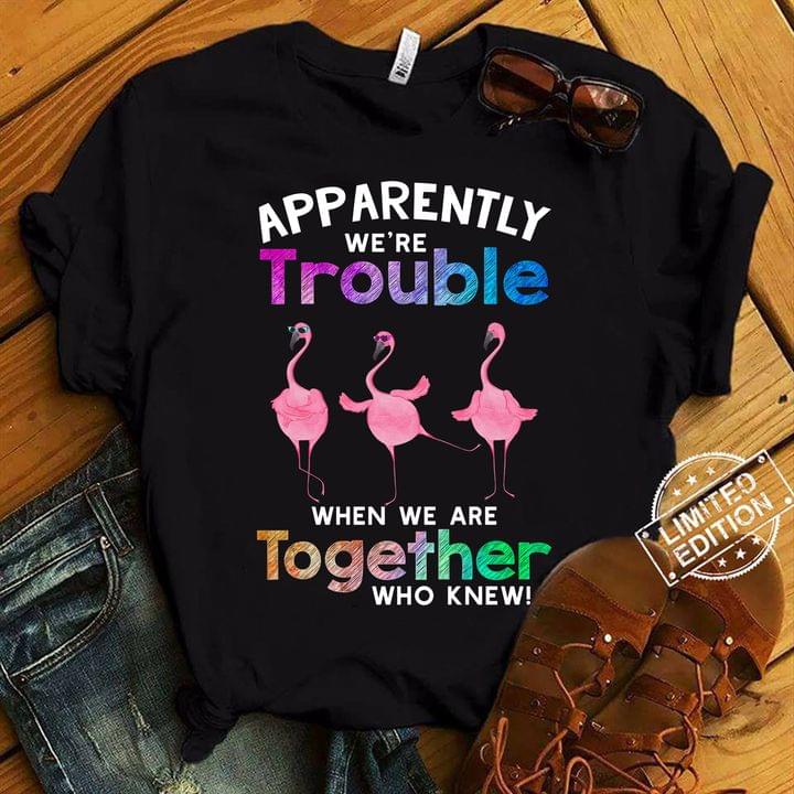 Apparently We're Trouble When We Are Together Who Knew Flamingoes Shirt Apparently We're Trouble When We Are Together Who Knew Flamingoes Shirt