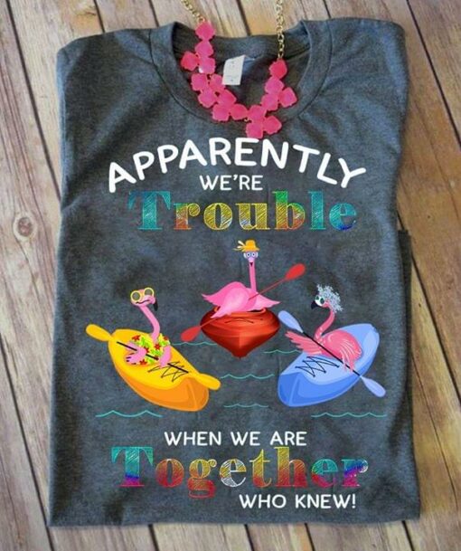 Apparently We’re Trouble When We Are Together Who Knew Shirt