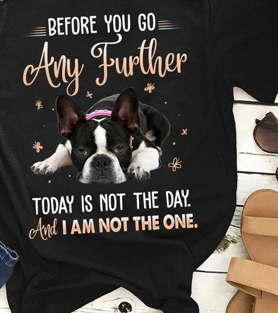 Before You Go Any Further Today Is Not The Day And I Am Not The One Bulldog Shirt Before You Go Any Further Today Is Not The Day And I Am Not The One Bulldog Shirt