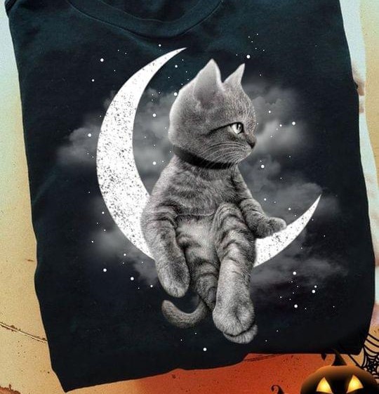 Cat Sitting On The Moon Shirt Cat Sitting On The Moon Shirt