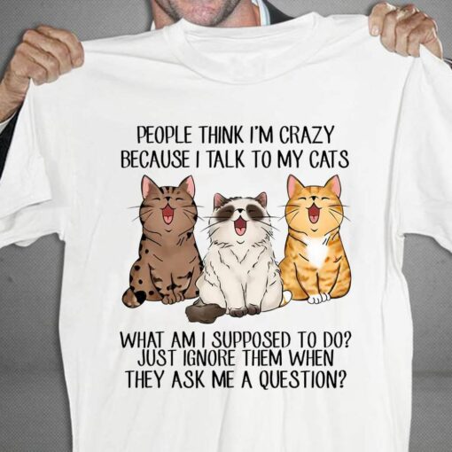 Cats Lover Shirt, I Talk To My Cute Cats