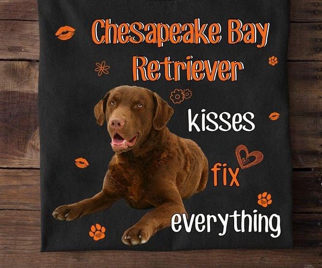 Chesapeake Bay Retriever Kisses Fix Everything Dog Hearts Lips Dog Footprints Shirt Chesapeake Bay Retriever Kisses Fix Everything Dog Hearts Lips Dog Footprints Shirt