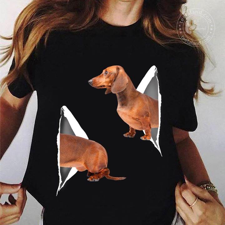 Dachshund With Magic Paper Tranfer Portal Shirt Dachshund With Magic Paper Tranfer Portal Shirt