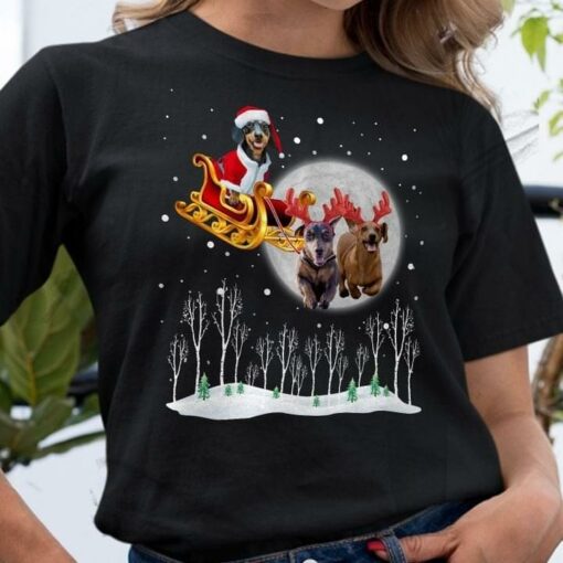 Dachshunds Santa Claus Reindeers Snow Christmas Shirt