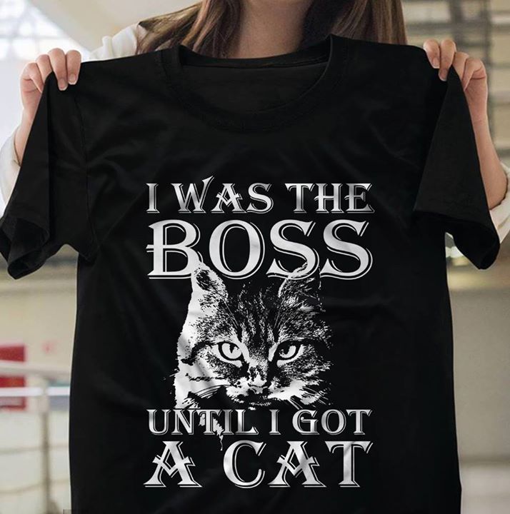 Dangerous Cat I Was The Boss Until I Got A Cat Shirt Dangerous Cat I Was The Boss Until I Got A Cat Shirt