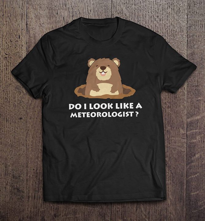 Do I Look Like A Meteorologist Shirt Do I Look Like A Meteorologist Shirt