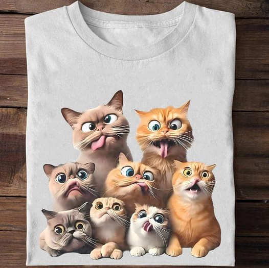 Funny Cute Crazy Cats Shirt Funny Cute Crazy Cats Shirt
