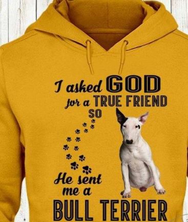 I Asked God For A True Friend So He Sent Me A Bull Terrier Dog Love Pet Shirt I Asked God For A True Friend So He Sent Me A Bull Terrier Dog Love Pet Shirt
