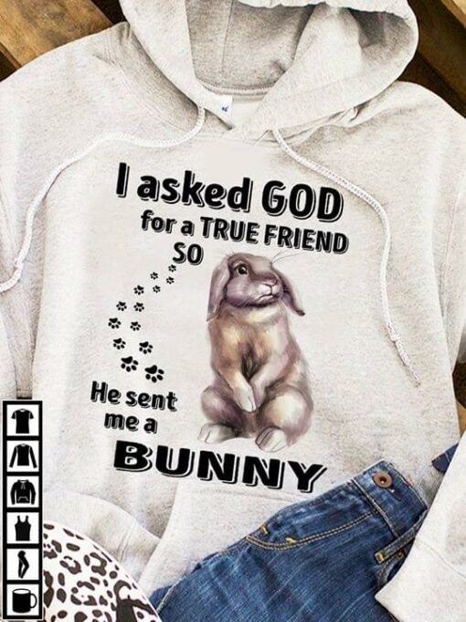 I Asked God For A True Friend So He Sent Me A Bunny Hoodie