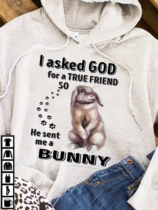 I Asked God For A True Friend So He Sent Me A Bunny Hoodie I Asked God For A True Friend So He Sent Me A Bunny Hoodie