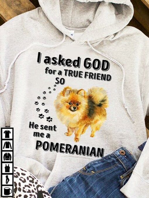 I Asked God For A True Friend So He Sent Me A Pomeranian Hoodie