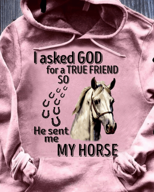 I asked God for a True Friend so He sent me My Horse T-Shirt